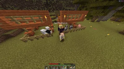 Minecraft Doc Day 12