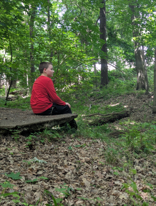 A Walk Through The Woods With Wyatt Jun 2025