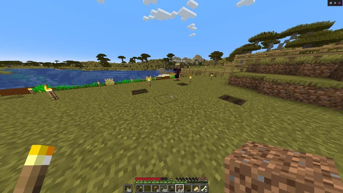 Minecraft Doc Day 12