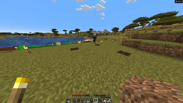 Minecraft Doc Day 12