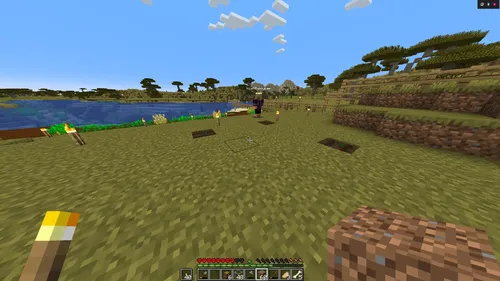 Minecraft Doc Day 12