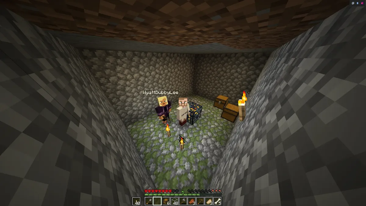 Minecraft Doc Day 11