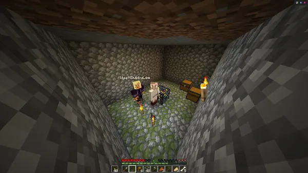 Minecraft Doc Day 11