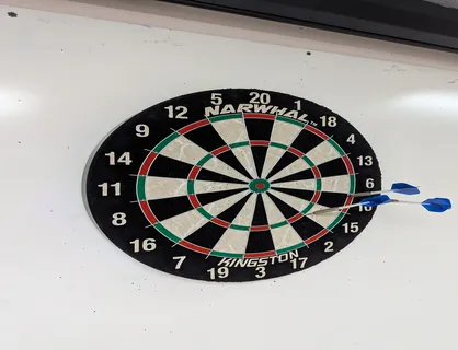 New Dart Board In The Basement