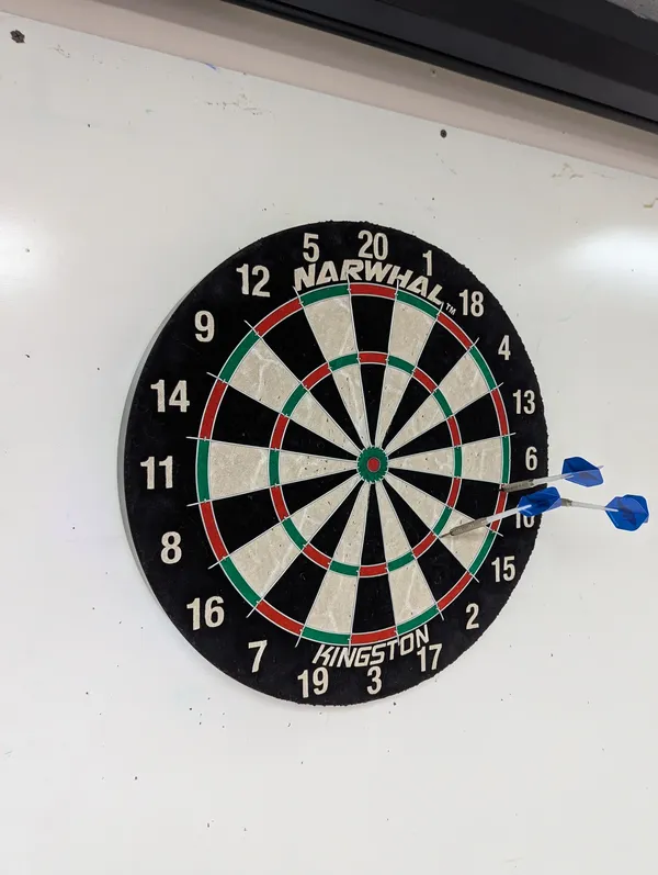New Dart Board In The Basement