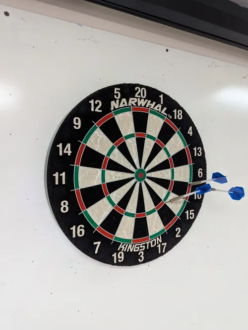 New Dart Board in the Basement