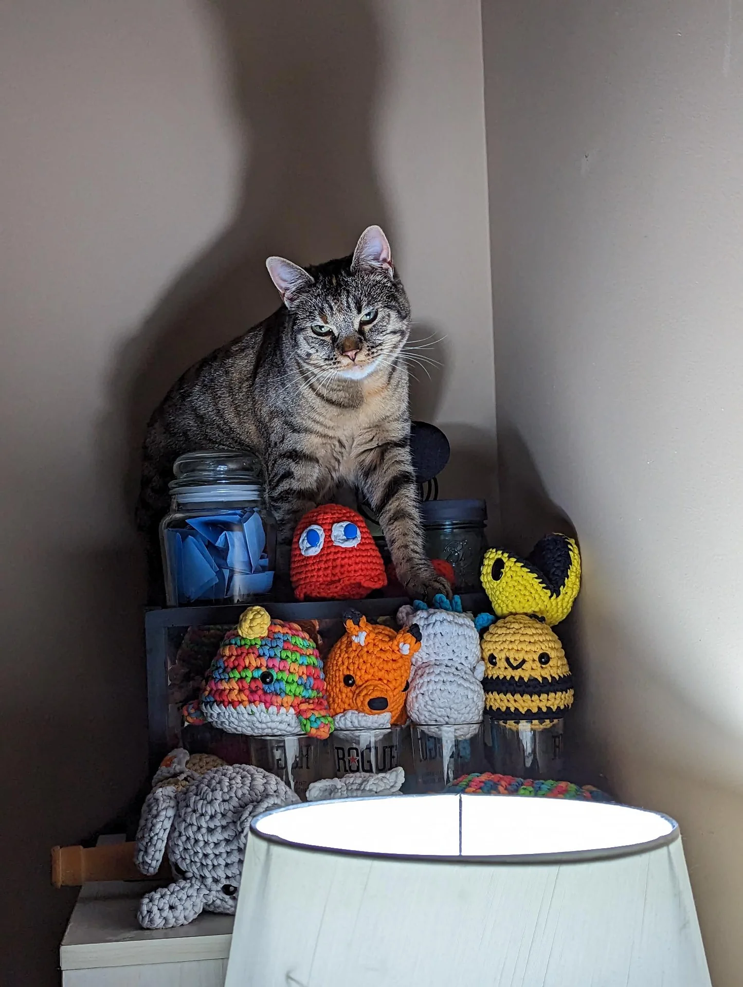 Gray cat perched beside colorful crocheted figures