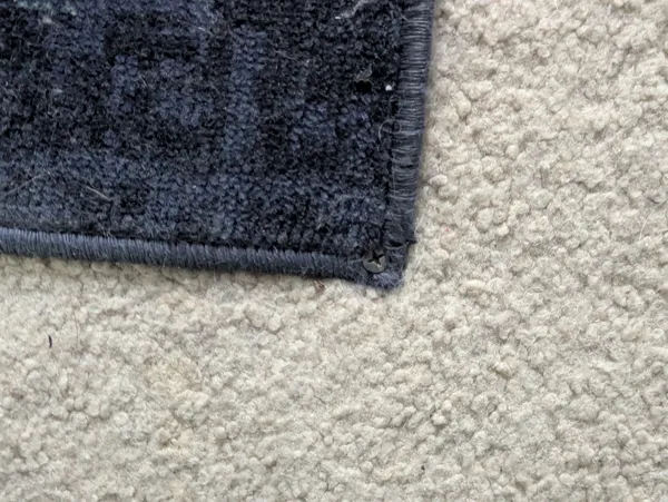 When You Reach That F-It Moment And Screw Your Carpet To The Floor