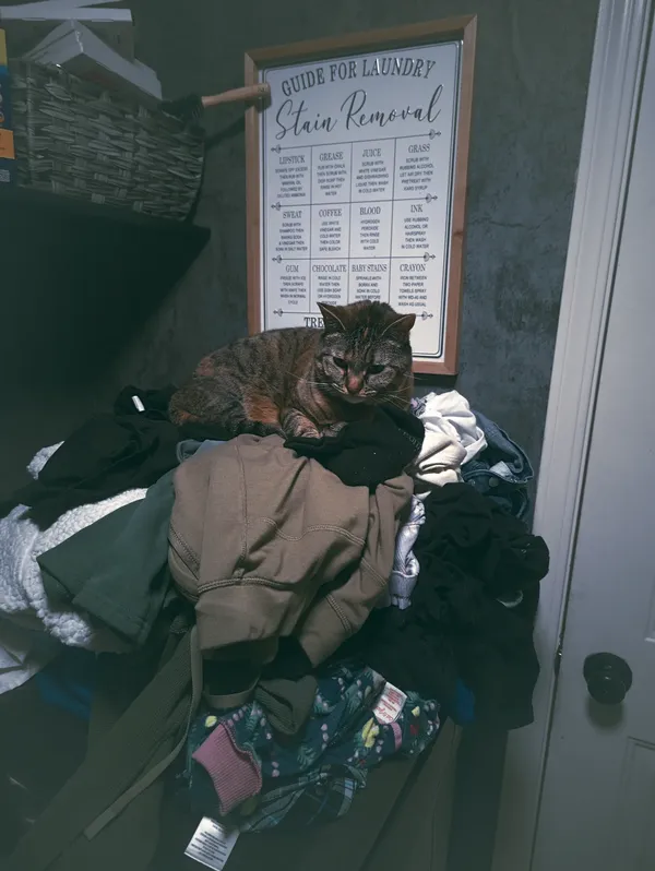 Ginger Chillin Laundry Room